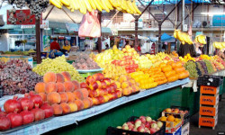 ЕАЭБ: мөмө-жемиш экспорту