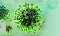 Кыргызстанда 19-июнга карата коронавирус дагы 870 адамдан аныкталды