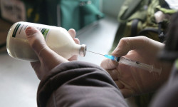 Кыргызстанда ветеринардык дары-дармектерди көзөмөлдөй турчу электрондук программа иштелип чыкты