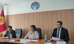 Жогорку Соттун төрайымы аймактарды кыдырды 