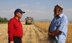 Араван районунун Төө-Моюн айылында түшүм жыйноо башталды