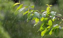 ӨКМ: Кыргызстандын тоолуу райондорунда өткүн өтүп, күн күркүрөйт 