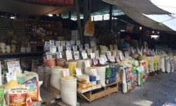 Базар баасын турукташтыруу