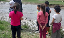 Нарында мыйзамсыз жумушка тартылган өспүрүмдөр аныкталды 