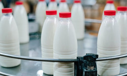 Заманбап технология ишке киргенден бери өлкөдө сүт өндүрүү 25 пайызга жогорулады