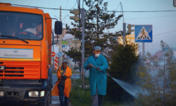 Бак-дарактарды дарылоочу эритме адамдар үчүн коопсуз - "Бишкекжашылчарба" муниципалдык ишканасы