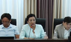 Бузуулар жөнүндө жана жазык-аткаруу кодекстеринин долбоорун талкуулаган жыйын өттү 