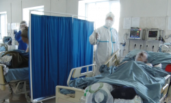 Кыргызстанда коронавирус дагы 1 081 адамдан аныкталып, 5 бейтап каза болду