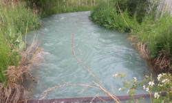 Чүй облусунда суу көйгөйүнө байланыштуу чара көрүлдү 