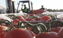 Келишимдин үзүрү. Ашхабаддан жүк келди