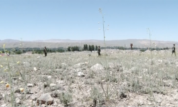 Чек ара көйгөйүнүн чечилишин тездетүү 