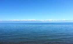 Ысык-Көлдүн жээгинде жардамга муктаж балдар үчүн жайкы эс алуу уюштурулду