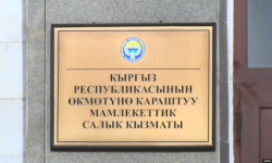 Салык кызматы жыл башынан тартып 259 миңден ашык электрондук патент берди