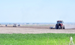 Чүй облусундагы дыйкандар сугат сууну үнөмдөп пайдаланууга өттү