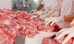 Кыргызстанда малды башка өлкөлөргө экспорт кылууга уруксат берилет