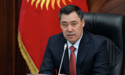 Мамлекеттик камкордук