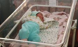 Былтыр Кыргызстанда балдардын төрөлүүсү төмөндөгөн