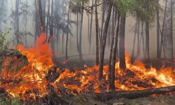 В Якутии полыхают пожары