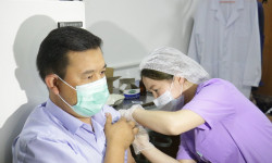 Жапырт эмдөө жараяны