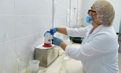 Быйыл сүттүн баасы былтыркыга салыштырмалуу жогору