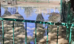 Каракол дарыясынан суу ташып, шаардагы зоопаркты каптады 