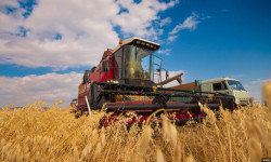 Малга тоют камдоо