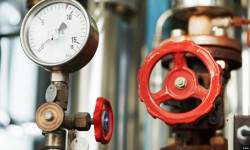 Кышка карата камылга