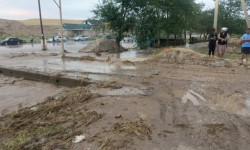 Сузакта селден жабыркаган үй-бүлөлөр чатырларда баш калкалап, мамлекеттен жардам күтүүдө