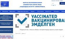 Коронавируска каршы «Кыргызстан – жашыл зона» интерактивдүү онлайн картасы иштей баштады