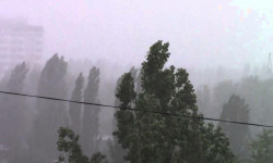 ӨКМ: 5-8-августка чейин өлкөнүн тоолуу райондорунда сел жүрүшү күтүлөт