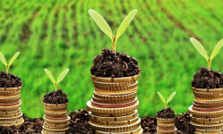 Элеттик ишкерлердин маселесин чечүү