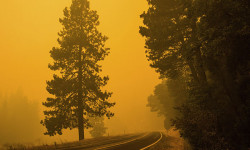 БУУ: Адамзаттын аракеттери климатты өзгөртүп, орду толгус зыянга учуратууда