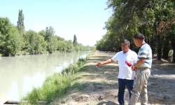 Эмгекчил мекендештердин аракети 