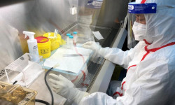 Кыргызстанда 417 адамдан коронавирус табылып, 6 бейтап каза болду