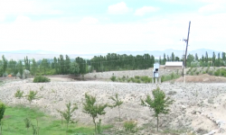 Кыргыз-тажик чек арасындагы аң казуу аракеттери токтотулду  