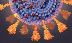 2021-жылдын 9-августунан 13-августуна  чейинки өлкөдөгү эпидемиологиялык кырдаал - Статистика