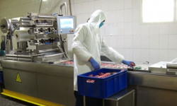 Бизнести колдоо демилгеси