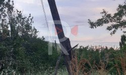 Алчалуу айылында электр түркүктөр менен чубалгылар кооптуу абалда