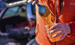 Кожомкул атындагы спорт ортосунда бал жарманкеси өтүүдө