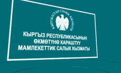 Санарип - Салык кызматынын ишин жакшыртты 