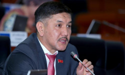 Жогорку Кеңештин депутаты Төрөбай Зулпукаров камакта калтырылды