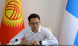 Ош шаарынын мэри болуп Алмаз Мамбетов шайланды