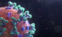 Өткөн сутка ичинде 142 адамдан коронавирус илдети аныкталды 