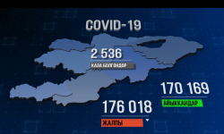 Өлкөдө коронавирус жуктургандардын саны азайганы менен, эпидемиологиялык абал турукташа элек 