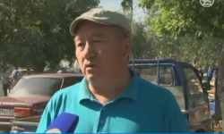 Унаа салыгын төлөбөгөндөрдүн саны арбын