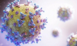 Өлкөдө коронавирус жуктургандардын саны азайганы менен, эпидемиологиялык абал турукташа элек