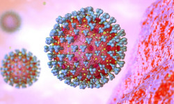 Кыргызстанда бир суткада 109 адамдан COVID-19 табылып, 4 бейтап каза болду