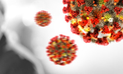 Бүгүнкү күнгө карата COVID-19дун жаңы 100 учуру катталды