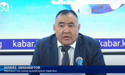 Быйыл салык көп чогулуп, карыздар өндүрүлүүдө