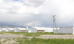 Балыкчыда ачылган канатуулар фабрикасында тоок эти менен ички керектөөнү камсыздоодо 